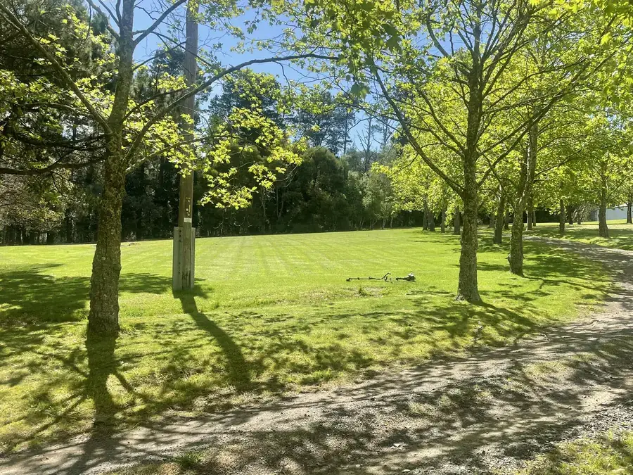 Acreage lawn mowed around established gum trees
