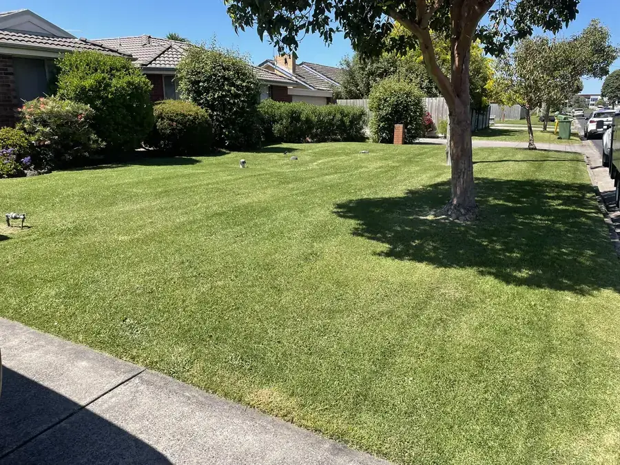 Common area lawn and frontage on a body corporate property maintained by Blue Hills