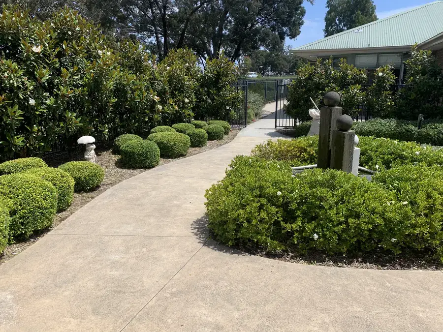 Shared driveway with shaped shrubs maintained on a body corporate schedule