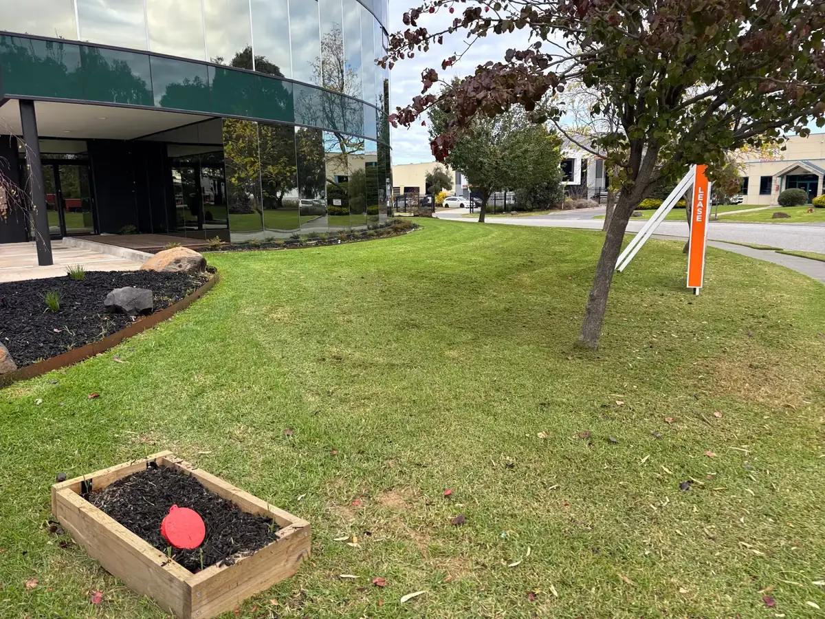 Office building grounds with mown lawn and maintained garden beds kept on a Blue Hills contract