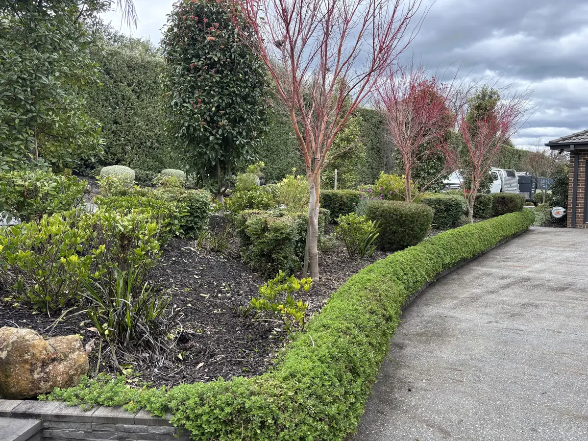 Mulched garden beds and a clipped border hedge running along a maintained driveway