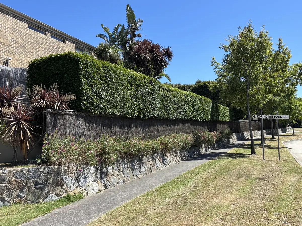 Street corner hedge above a retaining wall trimmed to a clean line by Blue Hills