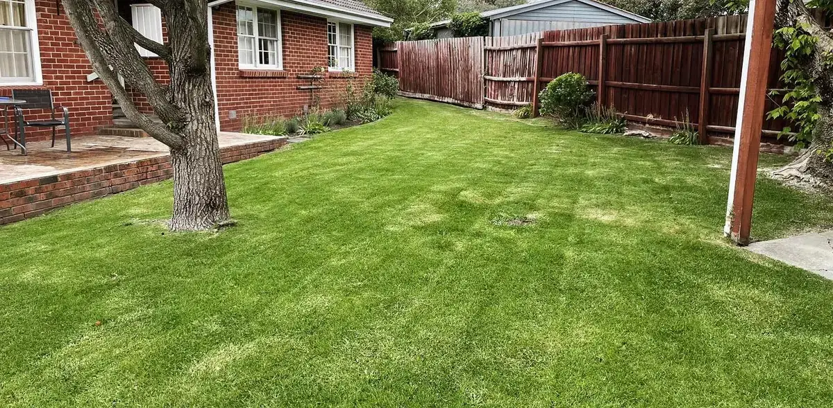 After — restored and freshly mowed lawn at a Pakenham property
