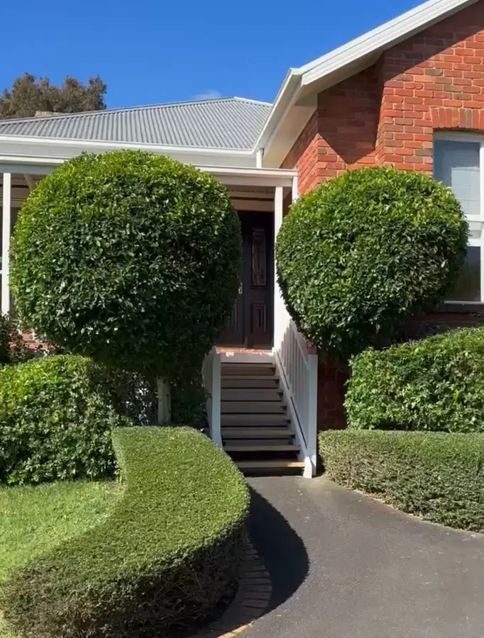 Shaped topiary and pruned shrubs framing a home entrance, pruned by Blue Hills